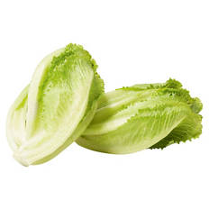 Baby Cos Lettuce 2 Pack